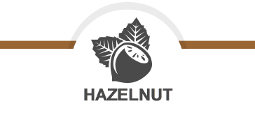 HAZELNUT