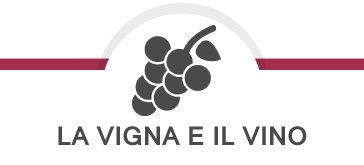 La Vigna e il Vino